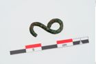 Foto von Bronzedrahtschleife (NHMW-PRAE-024053)